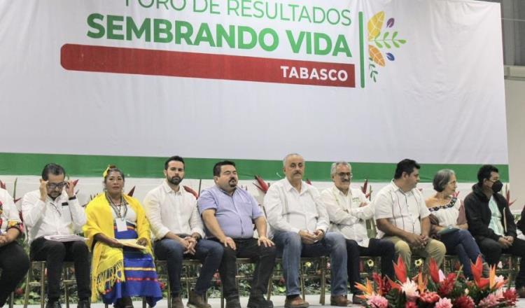 Tabasco ha recibido inversión de "Sembrando Vida" de más de 17 mil mdp en 5 años: Gobernador