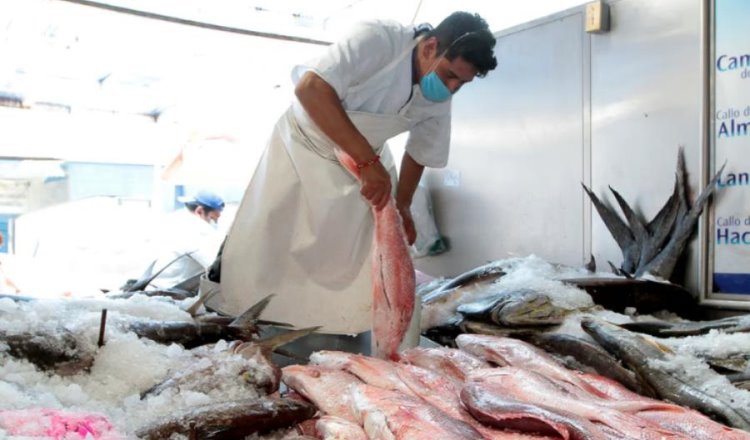 Garantiza SADER abasto de pescados y mariscos de producción nacional para Cuaresma