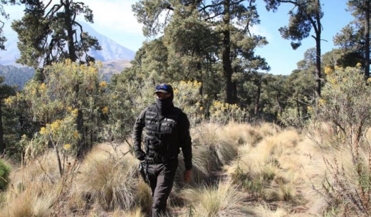 Asesinan a 3 guardabosques en San Andrés Hueyacatitla, Puebla