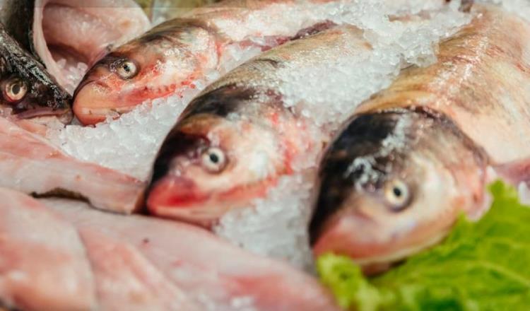 Emite Salud recomendaciones para cuidar consumo de pescados y mariscos por Cuaresma