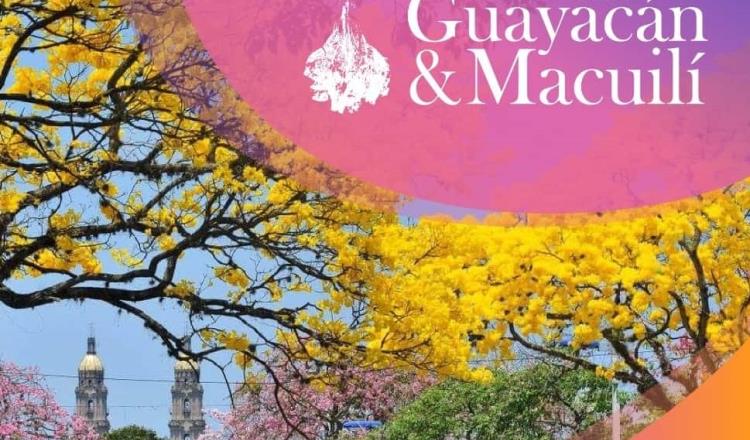 Inicia este miércoles el Festival Guayacán & Macuilí 2024