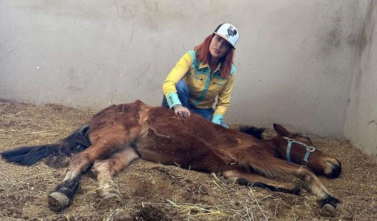 Muere Elena Larrea, fundadora del santuario ´Cuacolandia´