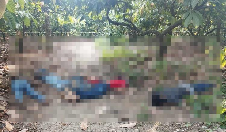 Reportan el hallazgo de 6 cuerpos sin vida en Paraíso; habrían sido ejecutados