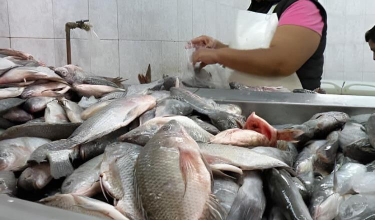 IMSS Tabasco da recomendaciones para manejo de pescados y mariscos en temporada de calor