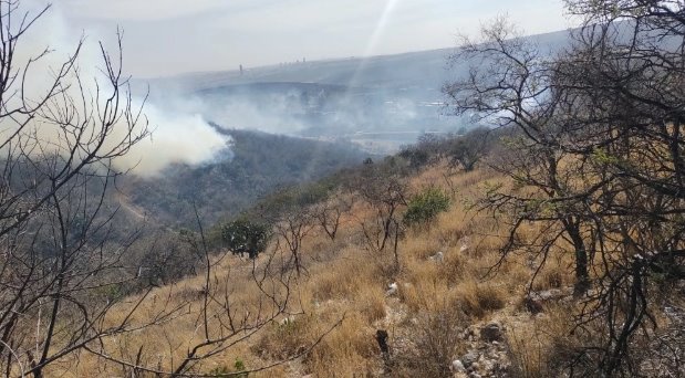 Incendio consume 90 hectáreas de vegetación en León, Guanajuato