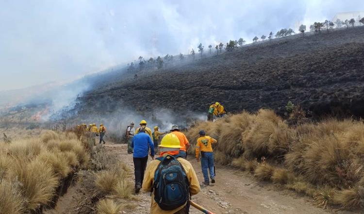 4 muertos por incendios forestales en México, reporta gobierno