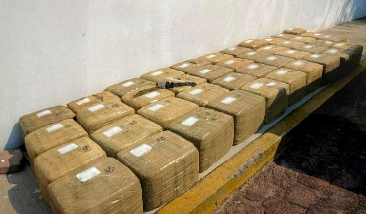 Sentencian a hombre que transportaba casi media tonelada de marihuana en Guerrero