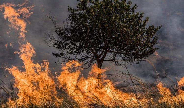 Aumentan incendios forestales en el país; ajustan 71 activos, según Conafor