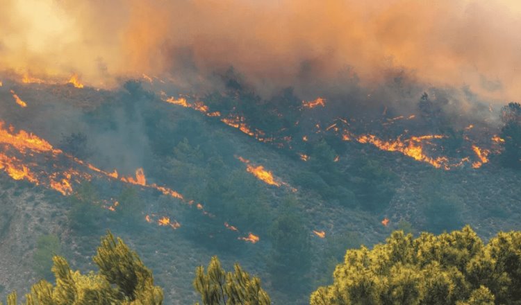 Incendio en Área Natural Protegida de Tabasco, reporta Conafor