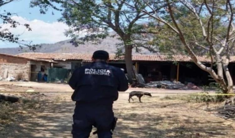 Muere niño de 2 años tras ataque de perro en Tuxpan, Jalisco