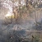 Incendio en Laguna de El Negro;  los vecinos de Casa Blanca luchan para contener las llamas