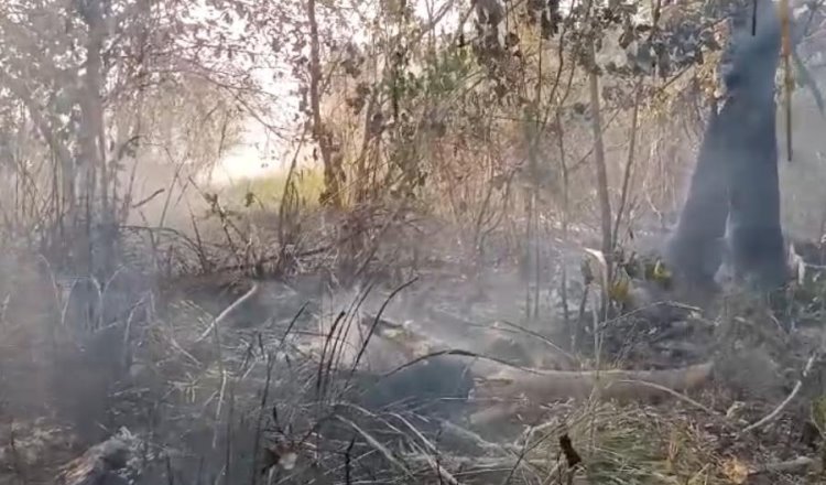 Incendio en Laguna de El Negro;  vecinos de Casa Blanca se movilizan para contener las llamas