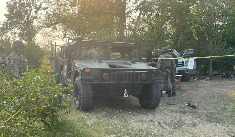 Armas, drogas y un mandril, lo asegurado en el C-21 de Cárdenas hace unos días