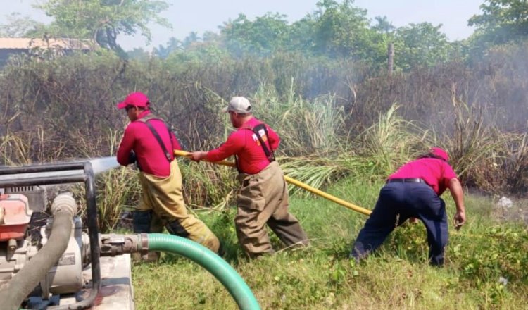 Más de 700 incendios en Tabasco en lo que va del 2024