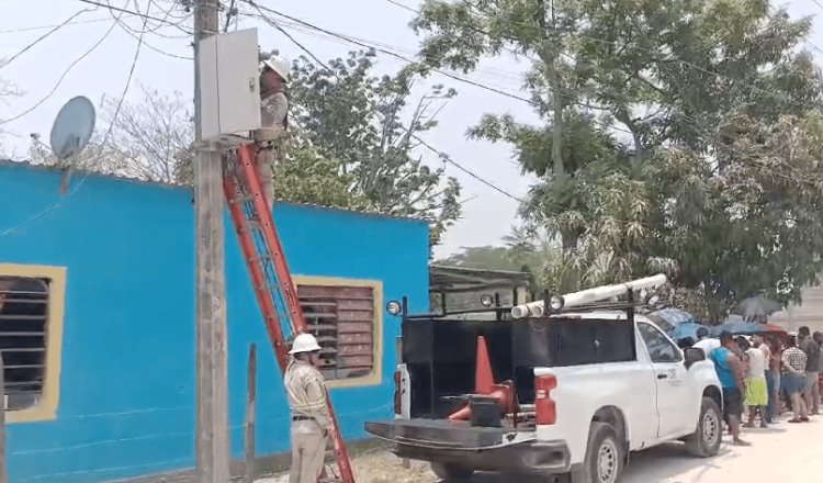 Sedener atenta al mantenimiento de red de distribución de CFE en Tabasco