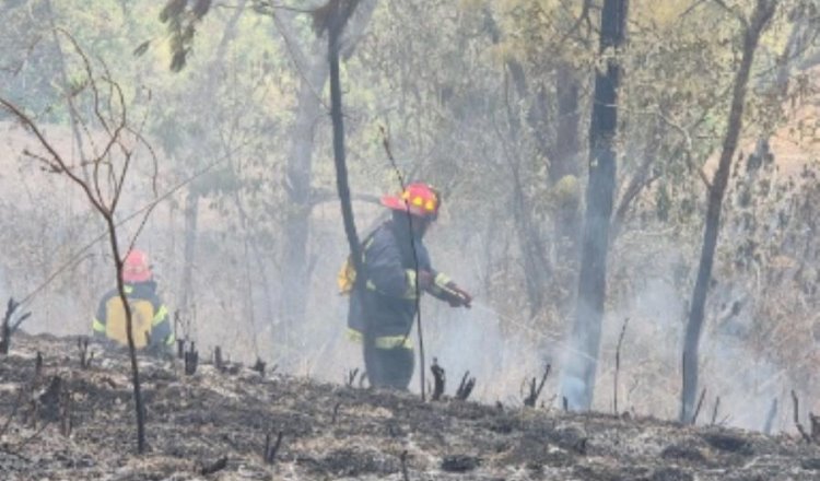 ONU apoya a Guatemala en combate de incendios forestales