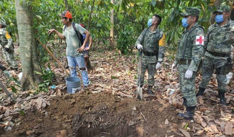 Que se declare "emergencia" por mortandad de monos en Tabasco plantea Asociación Civil