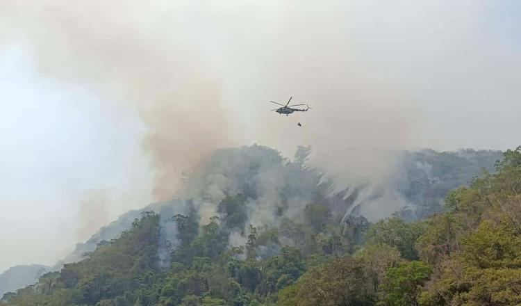 Incendio consume 140 hectáreas en el ejido Los Rieles y Boca del Cerro, Tenosique