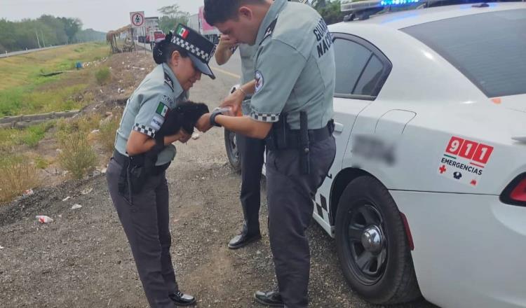 Rescata Guardia Nacional a mono ofrecido a la venta en Cárdenas