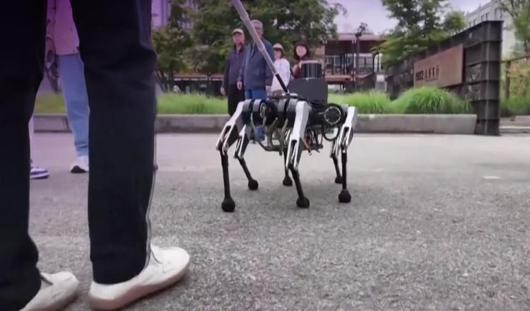 Robot de 6 patas podría ayudar a que pcd visual accedan a perro de servicio en China