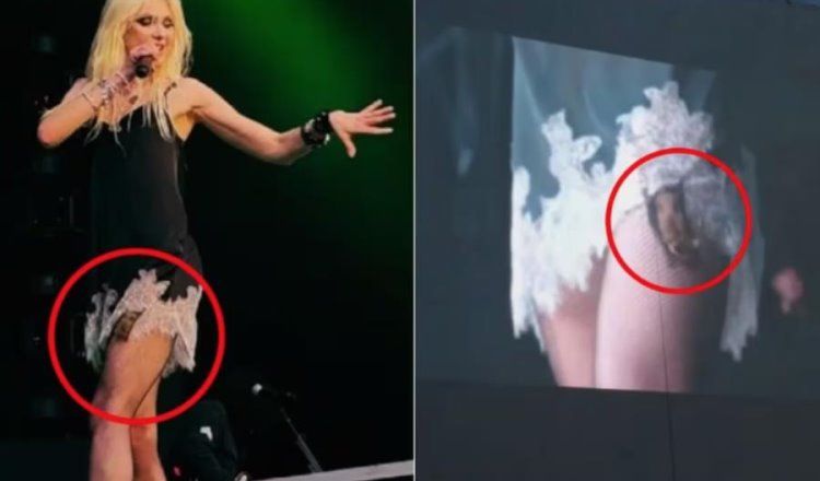 Taylor Momsen es mordida por murciélago en pleno escenario