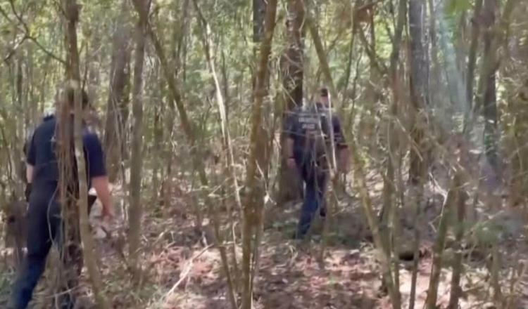 Hombre secuestra a 2 niñas tras matar a su madre en EE. UU.