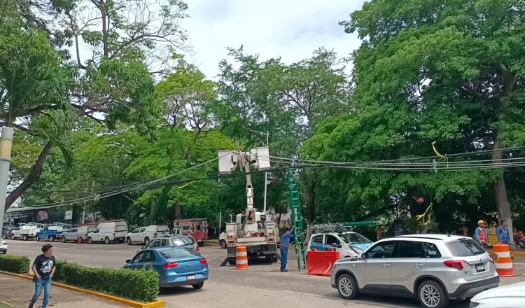 Monta CFE operativo para reparar infraestructura dañada por caída de árbol