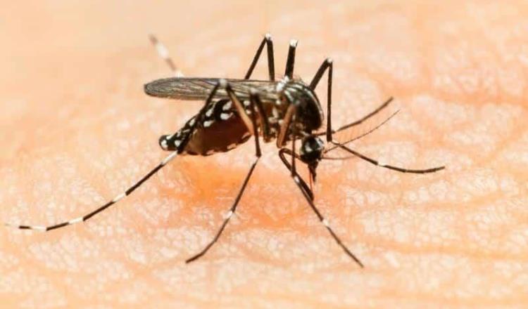 Tabasco 2da entidad con más casos de dengue en el país