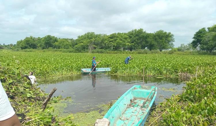 Conagua realiza brechas provisionales en río González para el paso de las lanchas en El Espino