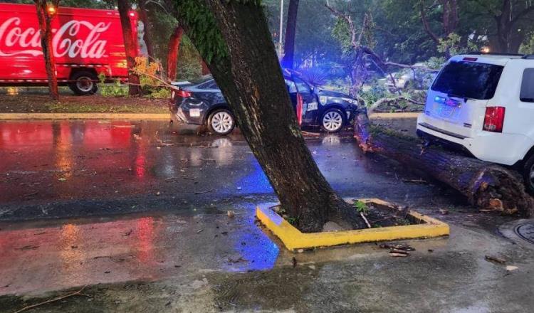 Lluvias en Tabasco dejan accidentes, caída de árboles y cables de luz