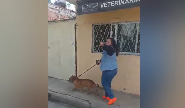 Mujer acusa de violación a hombre que le pidió recogiera las heces de su perro en Oaxaca