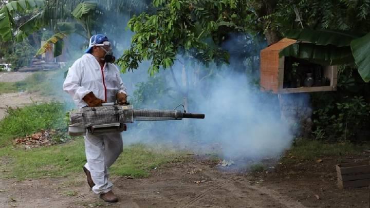 Tabasco hotel 5 estrellas para mosquitos y este año ha circulado más el dengue virus 3: Salud