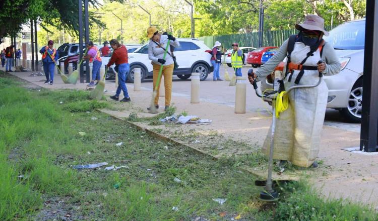 Realizan Jornada Integral de Limpieza en Mayito y Tulipanes