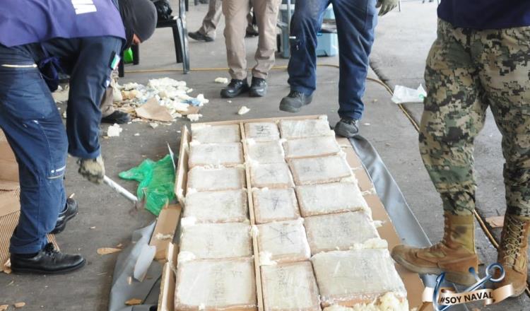 Asegura Semar más de 6 toneladas de marihuana en Veracruz