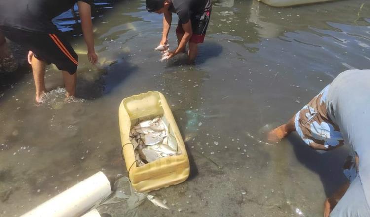 Sedener abierta a "acompañar" a pobladores ante mortandad de peces