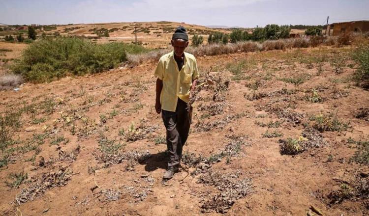 Ola de calor deja 21 muertos en Marruecos