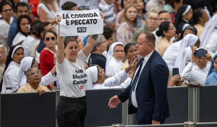 Activistas contra el maltrato animal irrumpen audiencia del Papa