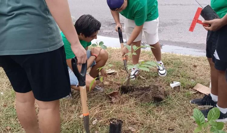 Ambientalistas siembran otros 22 árboles frente al Parque Tabasco