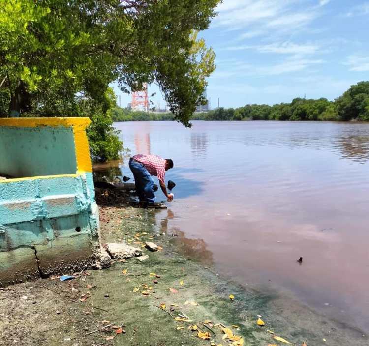 Agua rosa en río Seco pudo deberse a alta salinidad y presencia de microorganismos: Conagua Tabasco