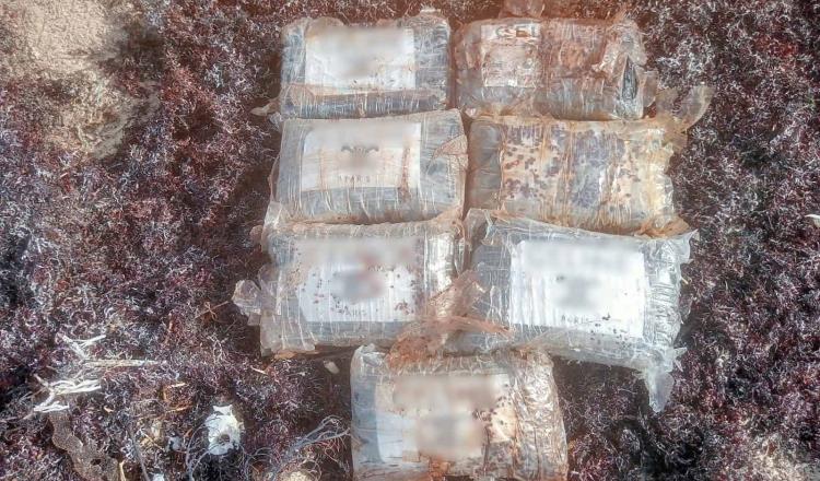 Hallan paquetes de cocaína entre el sargazo en Quintana Roo