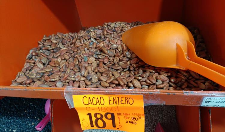 Incremento en precio del cacao es internacional: Sedec