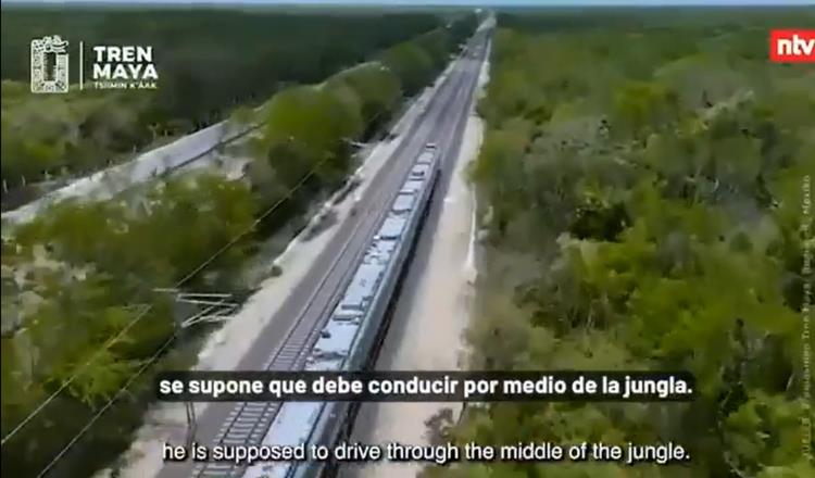 Tren Maya es un "horror ambiental": Canal de TV de Alemania