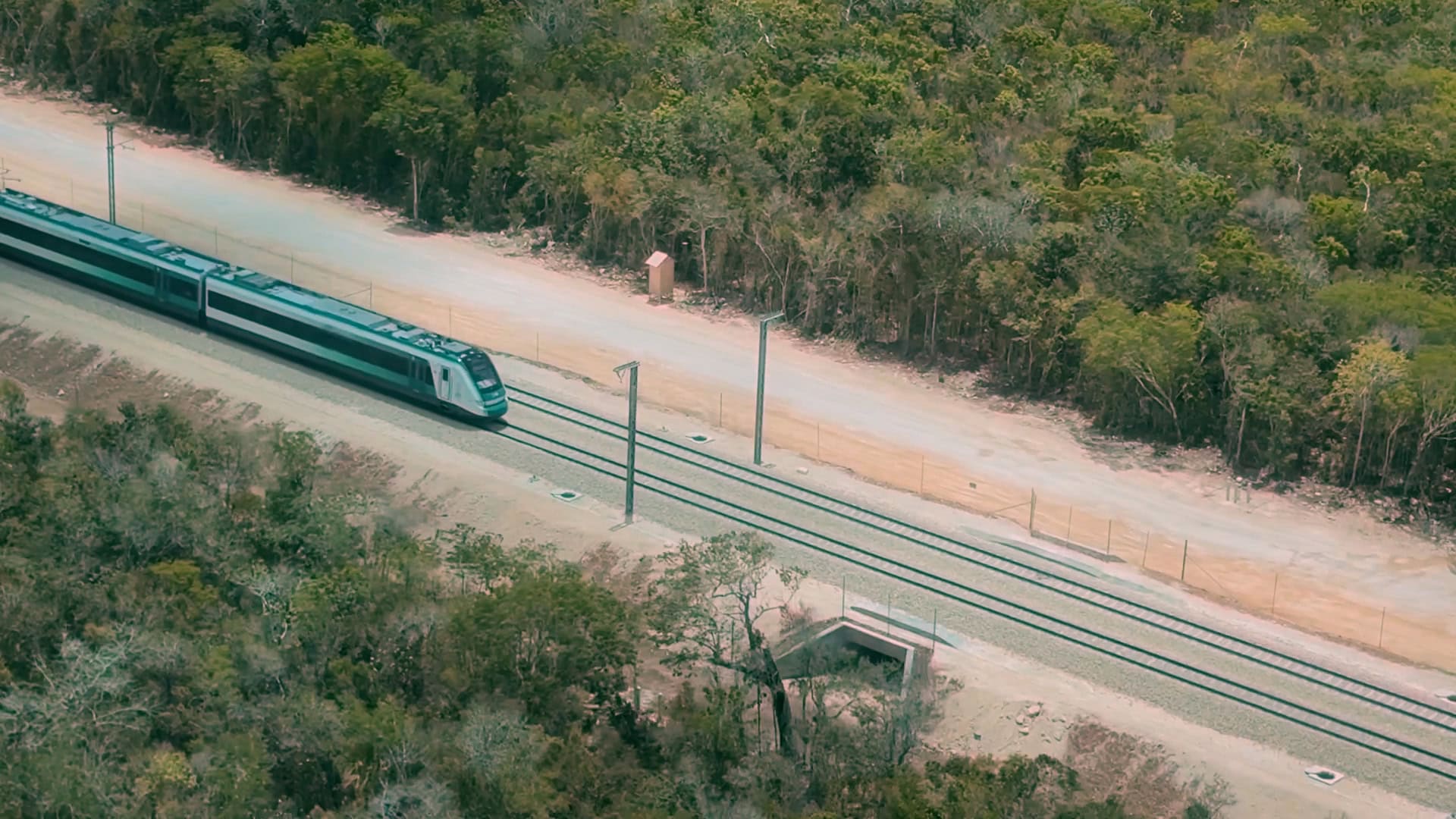 En una semana se inaugurará ruta completa del Tren Maya: AMLO