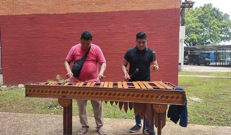 Como en la pandemia músicos continúan laborando con marimba en colonias y fraccionamientos