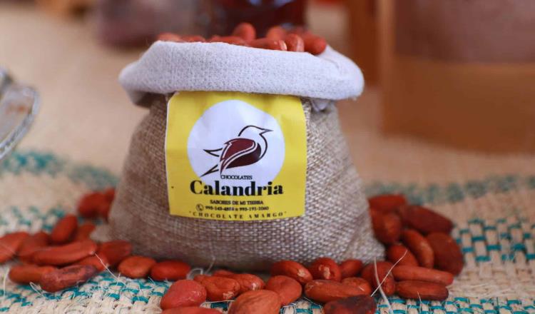 Finaliza Feria Nacional de Cacao y Chocolate Comalcalco 2024