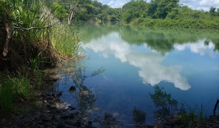 Río San Pedro arriba de su nivel de desbordamiento; el Tulijá desciende: Conagua