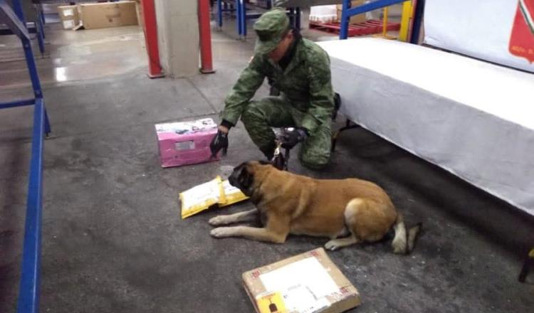 Asegura Guardia Nacional paquetes de droga en hangar de empresa de mensajería, en Aeropuerto de Tijuana