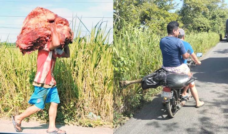 ¡El colmo! Destazan reses de tráiler volcado en la Huimanguillo-Estación Chontalpa