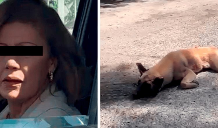 Exhiben a mujer en Jalisco que arrastraba a perrito marrado a su camioneta