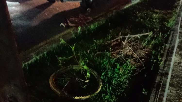 Fallece masculino atropellado con su bicicleta en el periférico